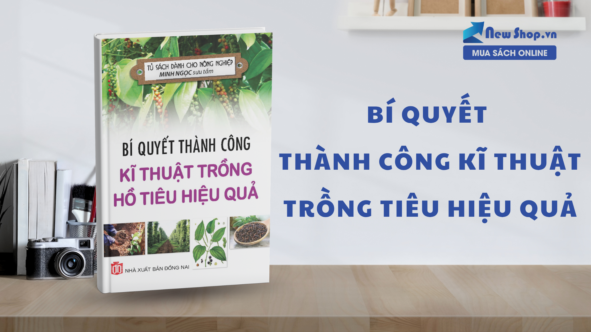 Khám Phá "Bí Quyết Thành Công Kĩ Thuật Trồng Tiêu Hiệu Quả" – Bí Kíp Giúp Nông Dân Làm Giàu Từ Cây Tiêu