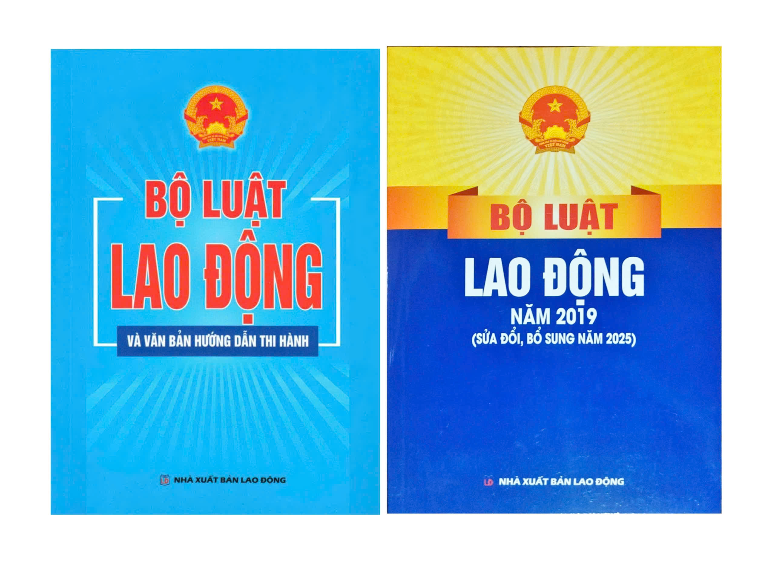 Bộ Luật Lao Động Năm 2019 + Bộ Luật Lao Động V&agrave; Văn Bản Hướng Dẫn Thi H&agrave;nh (DH) (Bộ 2 Cuốn)